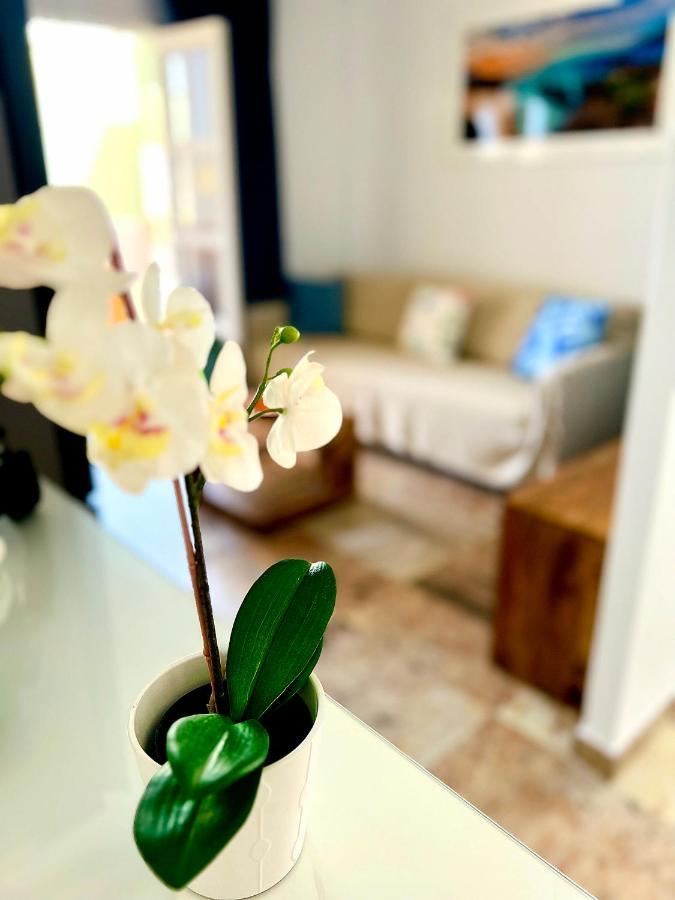 Cosy, New Studio In Costa Adeje Eksteriør billede